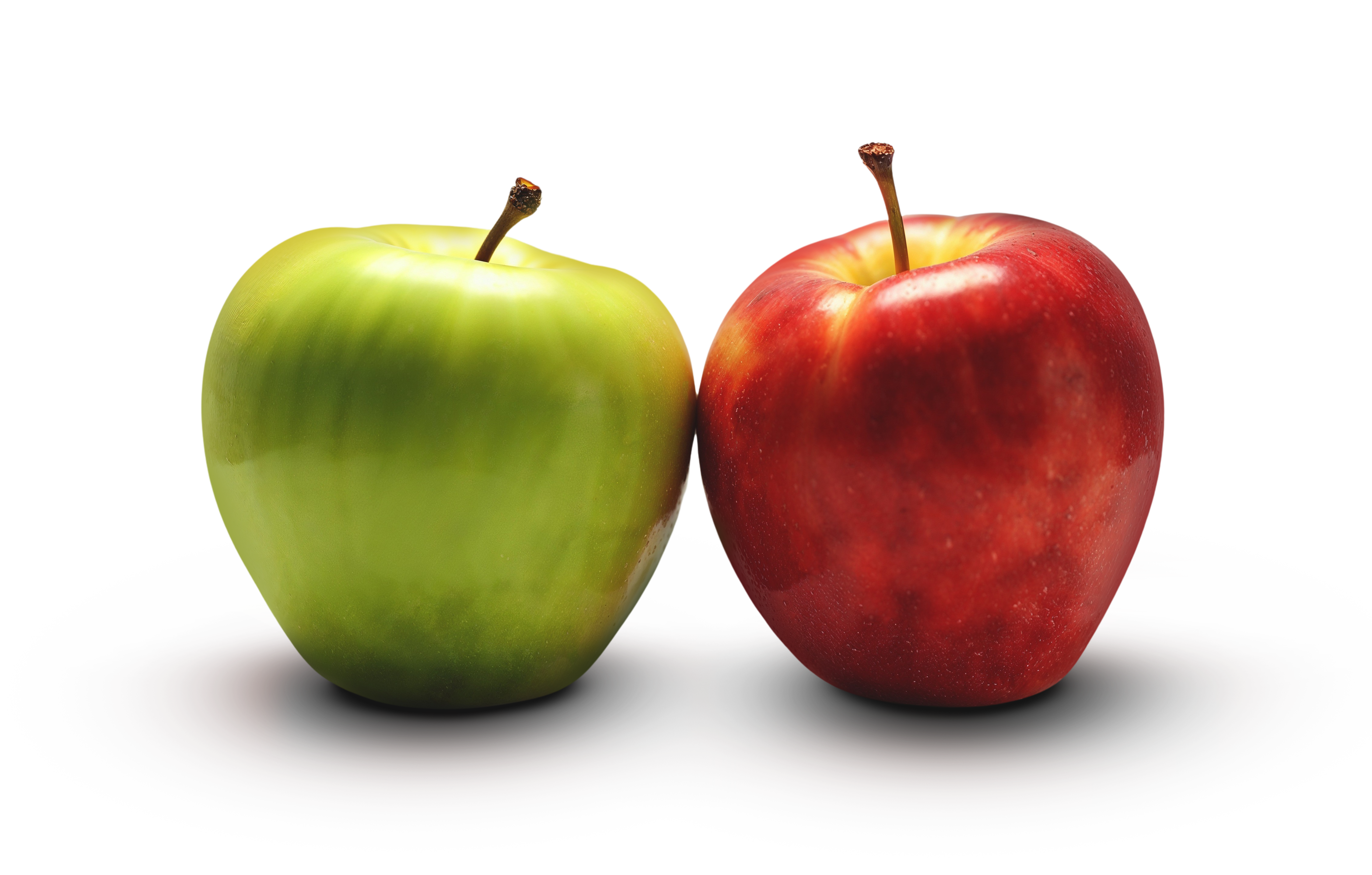 Apple stem cells