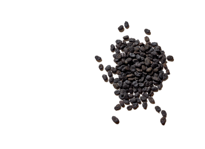 Alpha Arbutin