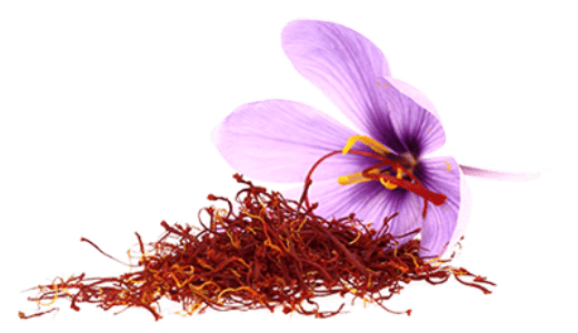 Saffron Stem Cells