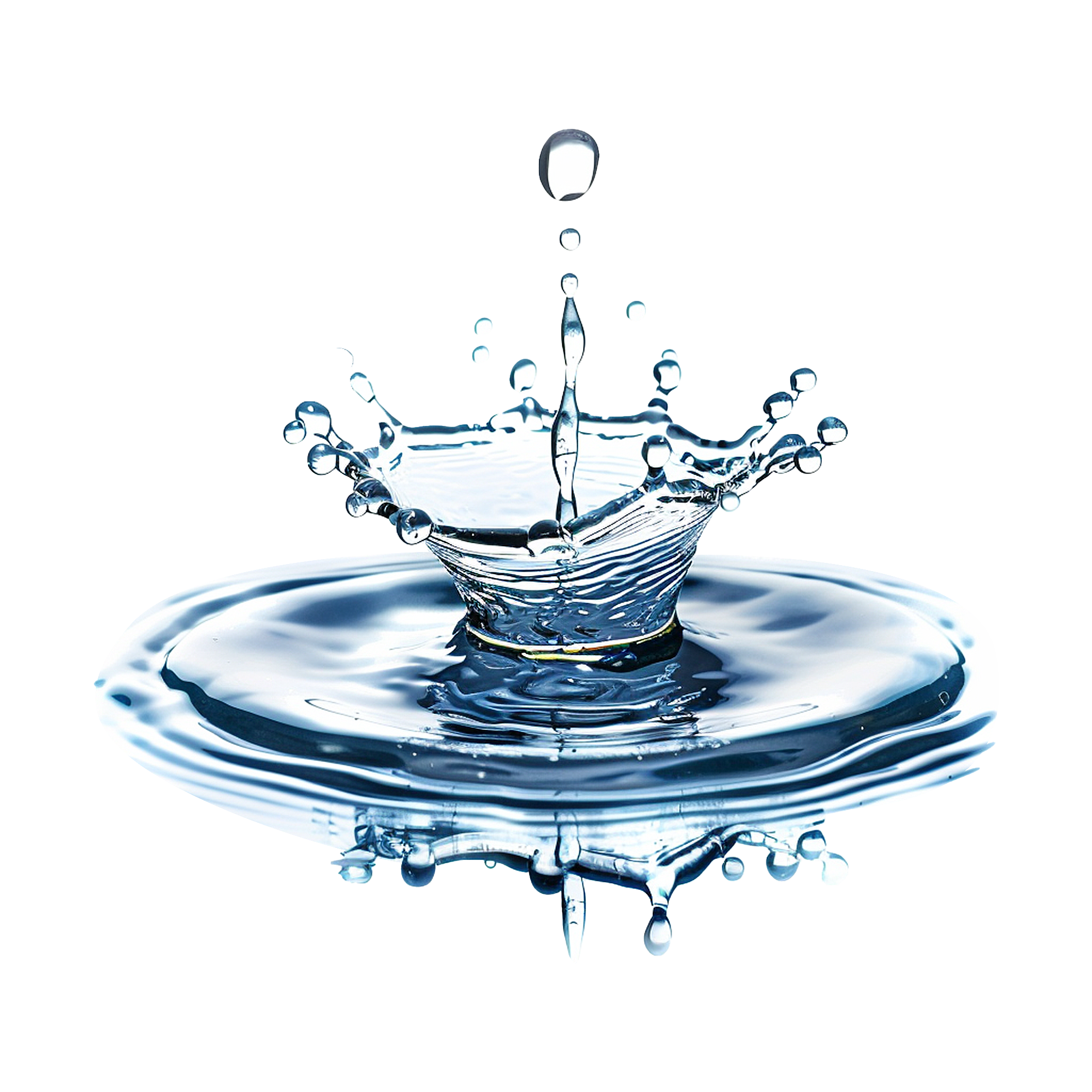 Ceramide Complex